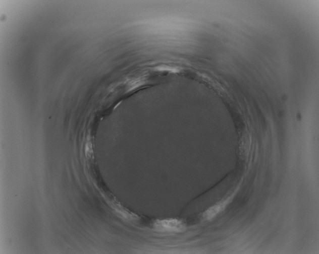 X0000072530137200608041606