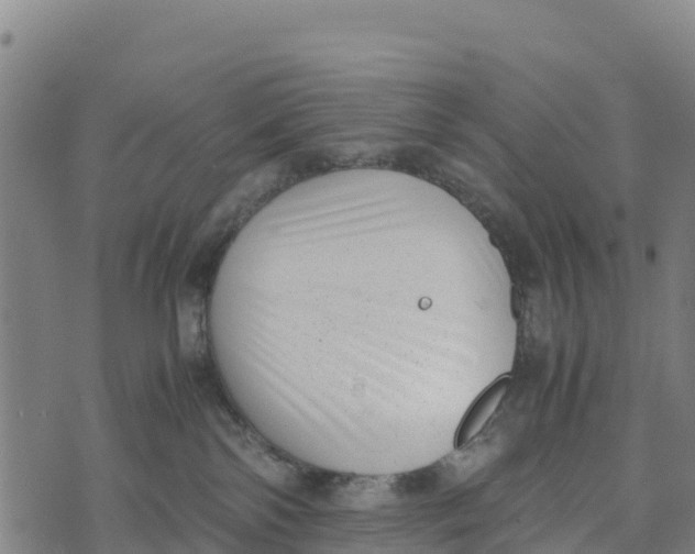 X0000072530138200608041606