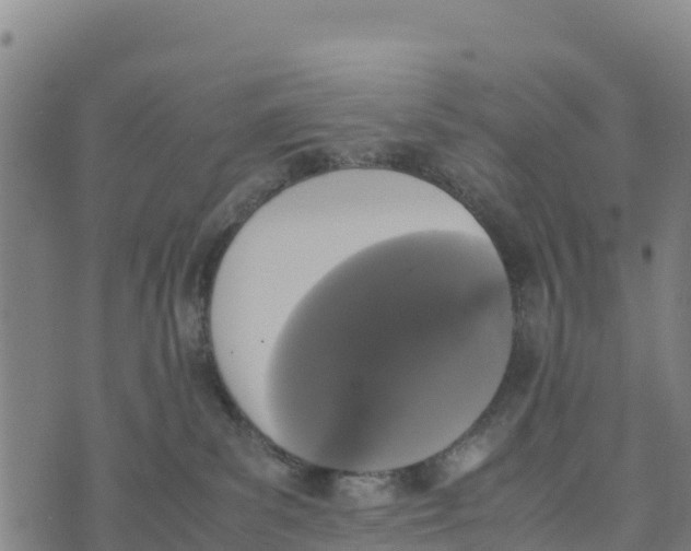 X0000072530139200608041606