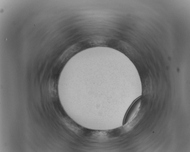 X0000072530140200608041606