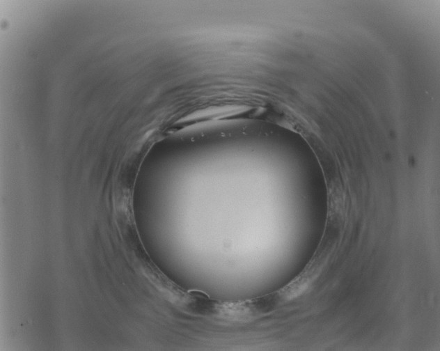 X0000072530141200608041606