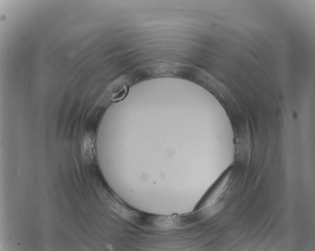 X0000072530142200608041606