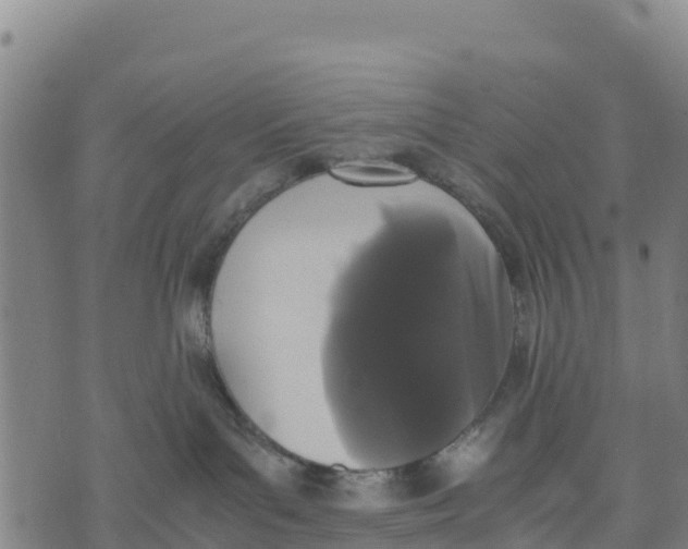 X0000072530143200608041606