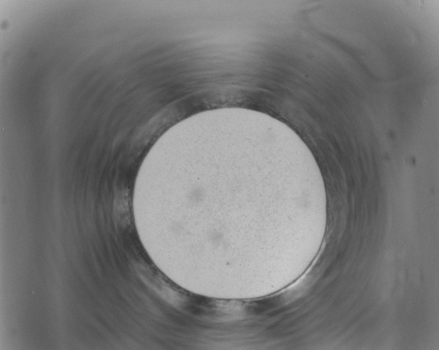 X0000072530144200608041606