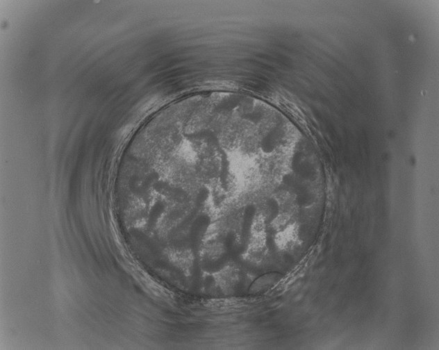 X0000072530145200608041606