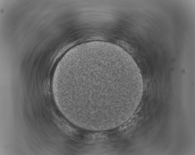 X0000072530146200608041606