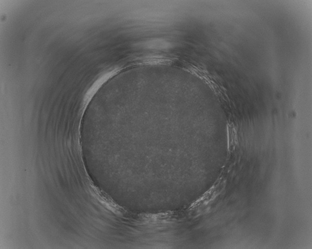 X0000072530147200608041606