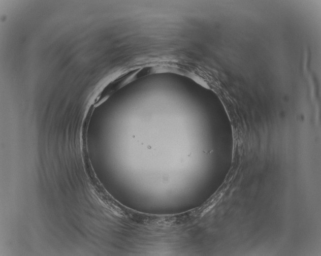 X0000072530148200608041606