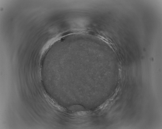 X0000072530149200608041606