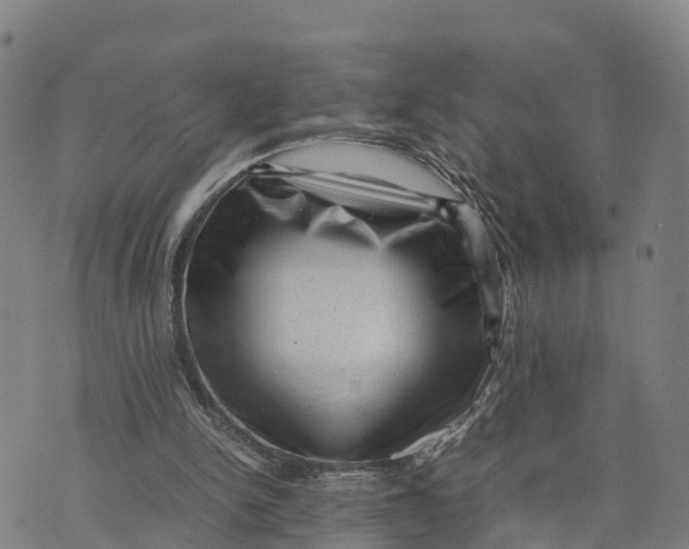 X0000072530150200608041606