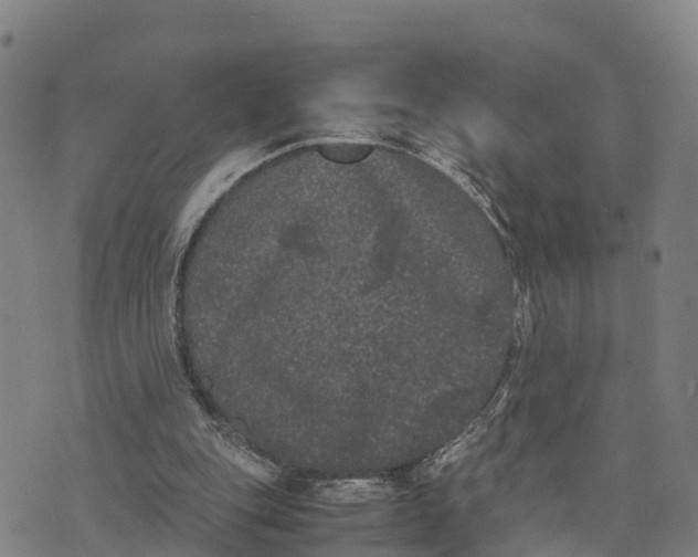 X0000072530151200608041606