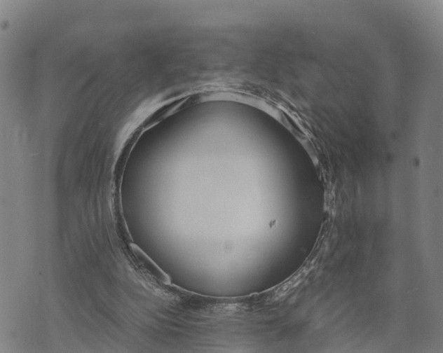 X0000072530152200608041606