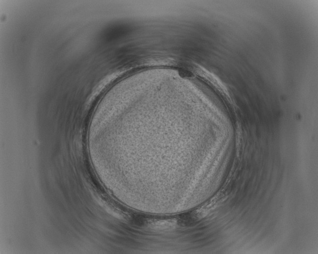 X0000072530155200608041606