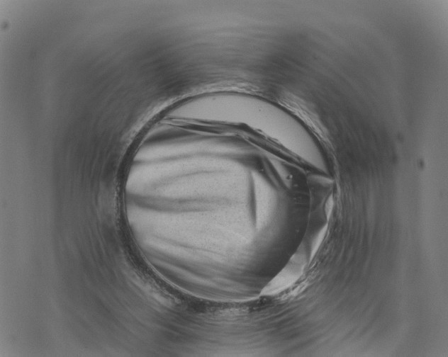 X0000072530156200608041606