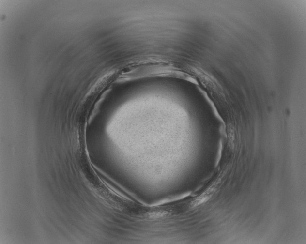 X0000072530158200608041606