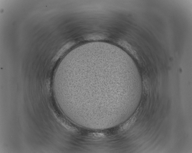 X0000072530159200608041606