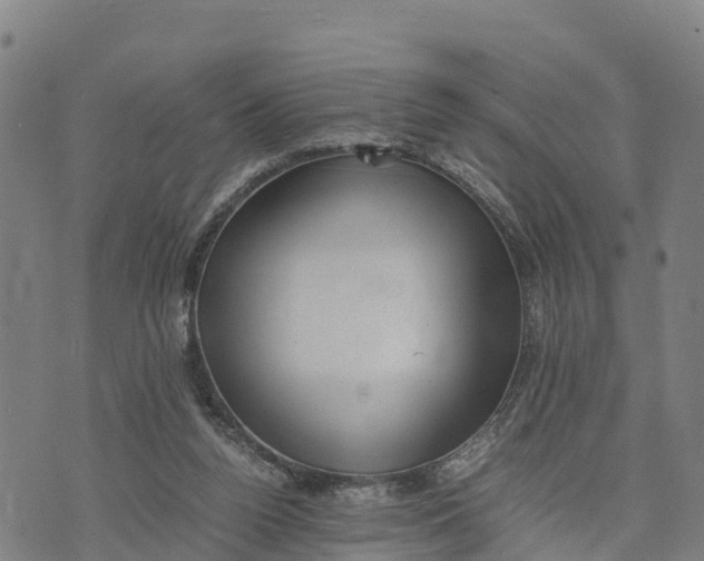 X0000072530160200608041606