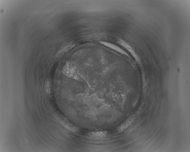 X0000072530161200608041606