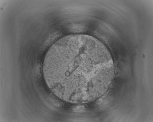 X0000072530162200608041606