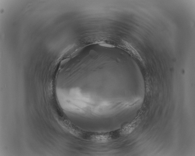 X0000072530163200608041606