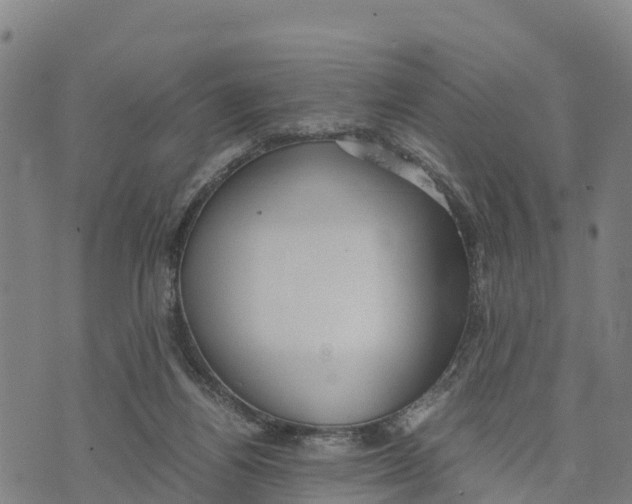 X0000072530164200608041606