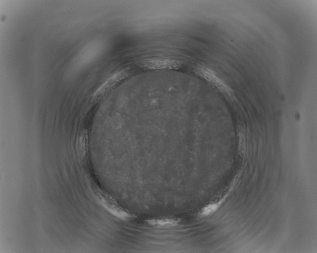 X0000072530165200608041606