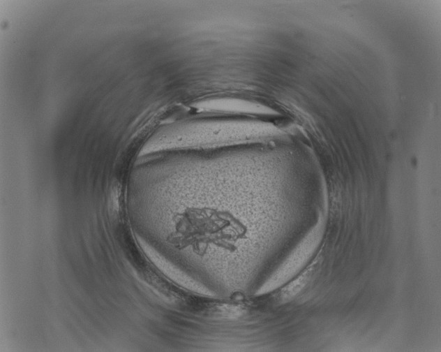 X0000072530166200608041606