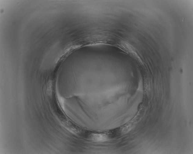 X0000072530167200608041606