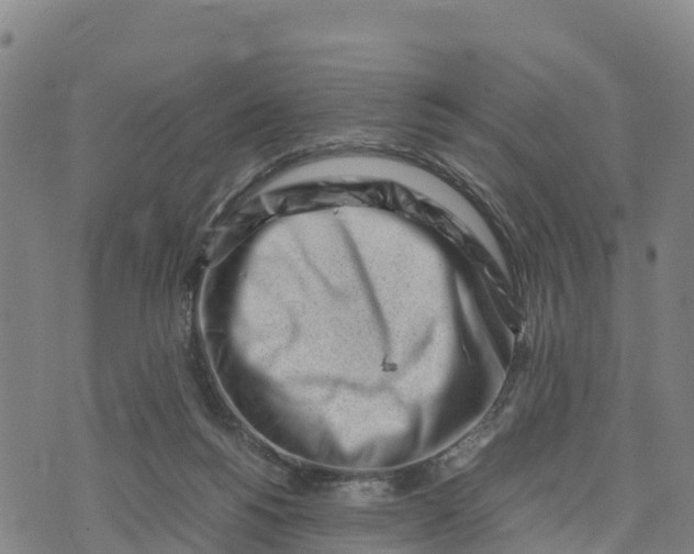 X0000072530168200608041606