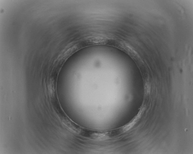 X0000072530170200608041606