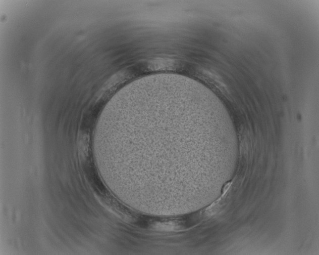 X0000072530171200608041606