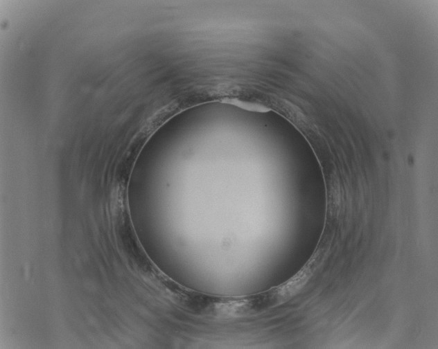 X0000072530172200608041606