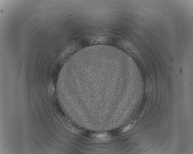 X0000072530173200608041606