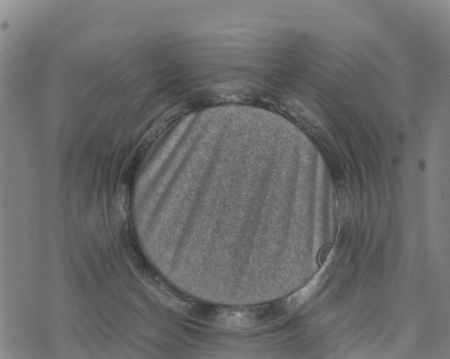 X0000072530174200608041606