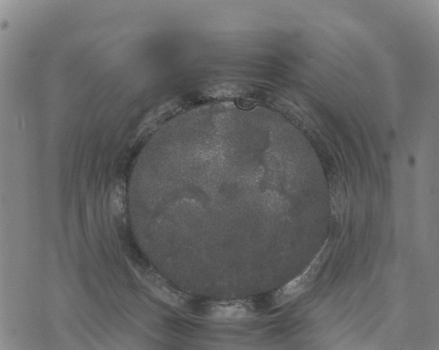 X0000072530175200608041606