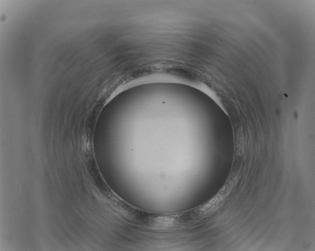 X0000072530176200608041606