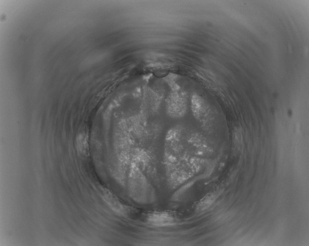 X0000072530177200608041606