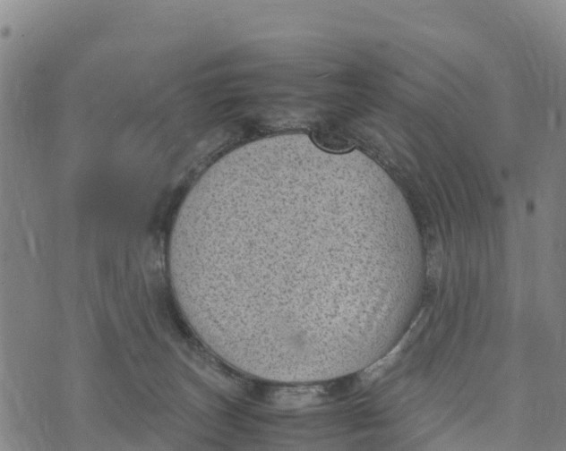 X0000072530179200608041606