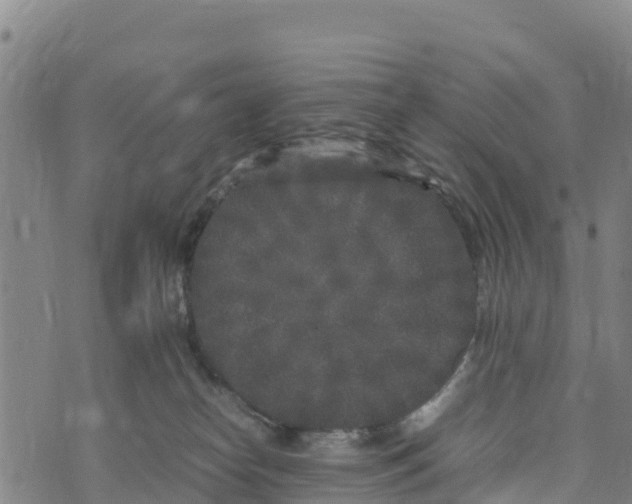 X0000072530182200608041606