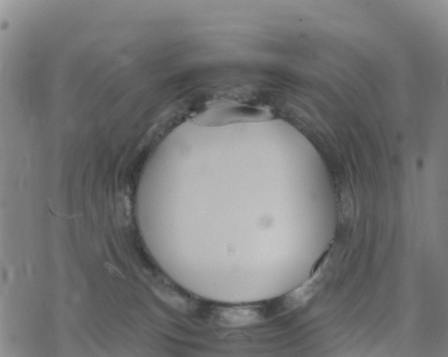 X0000072530183200608041606