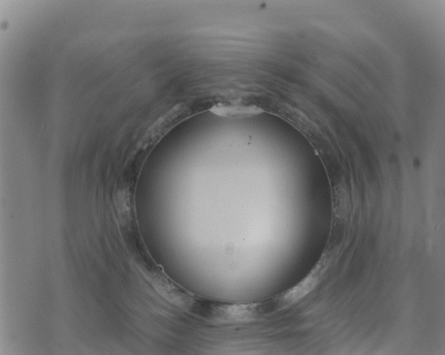 X0000072530184200608041606