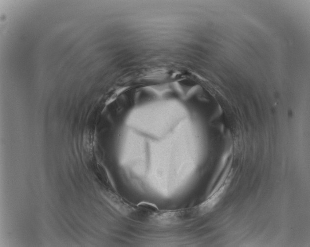 X0000072530186200608041606