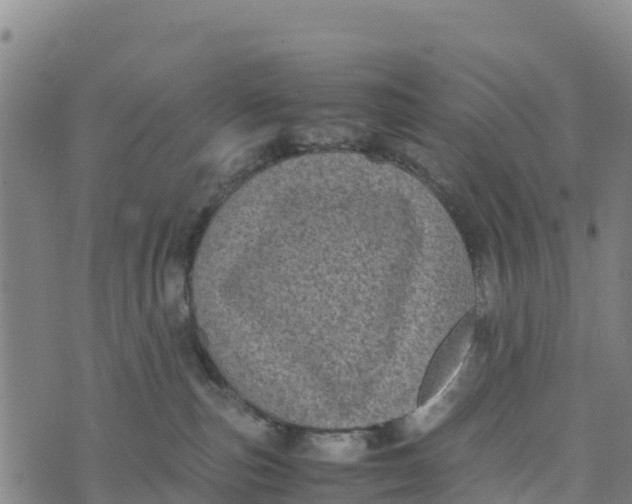 X0000072530187200608041606