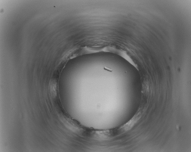 X0000072530188200608041606