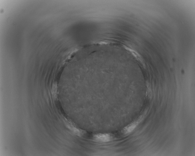 X0000072530189200608041606