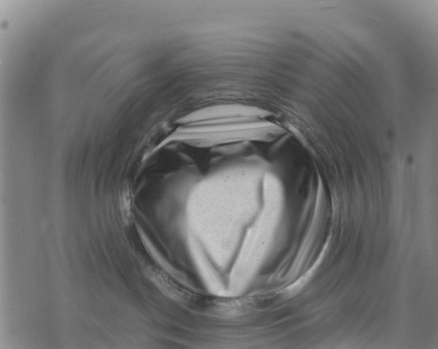 X0000072530190200608041606