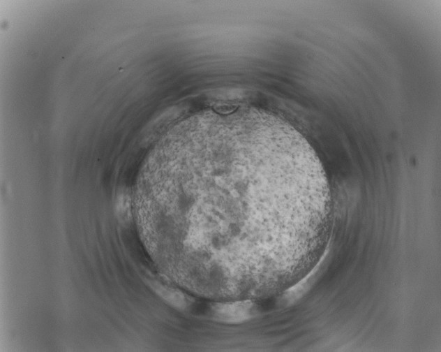 X0000072530191200608041606