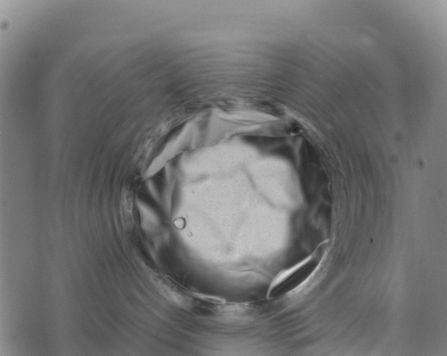 X0000072530192200608041606