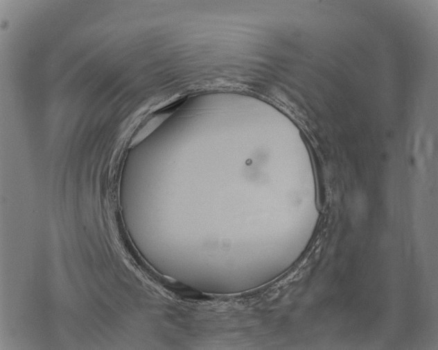 X0000072530193200608041606