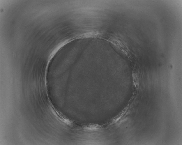 X0000072530196200608041605